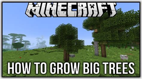 how to grow big trees in minecraft.